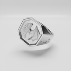 ANILLO DUKI