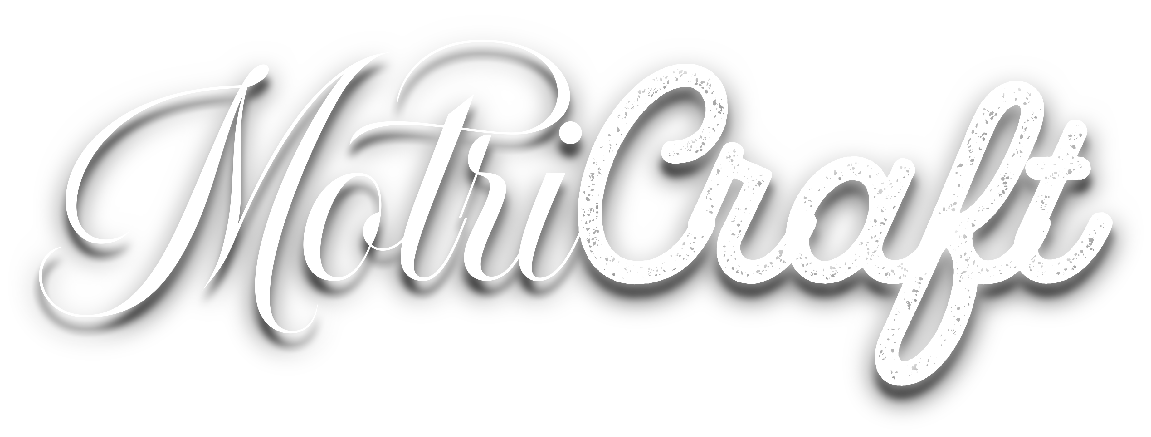 MotriCraft