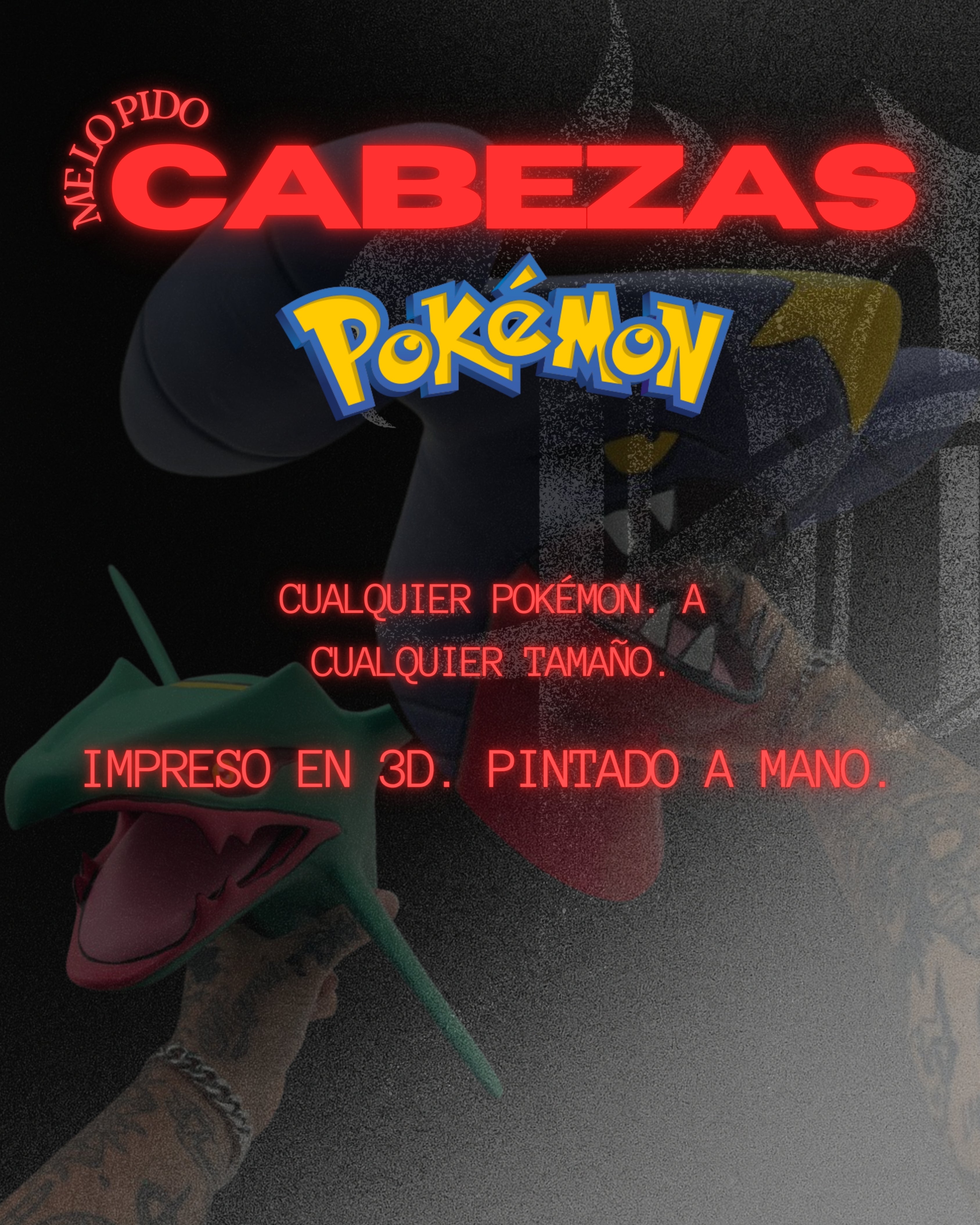 CABEZAS POKÉMON