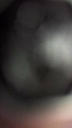 ANILLO DUKI